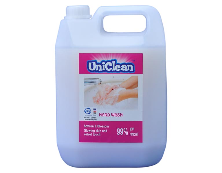 260_Hand Wash Dove 5 lit